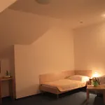 Family Maxim 3* Beroun (Central Bohemian)