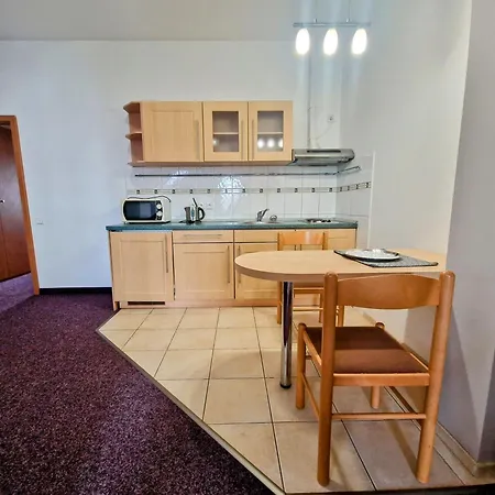 Family Maxim Hotell 3*